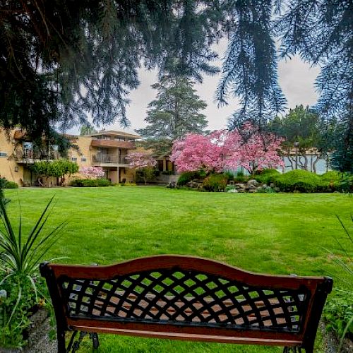 A wooden bench faces a lush garden with a large green lawn, blooming pink trees, and a building in the background, surrounded by tall trees.