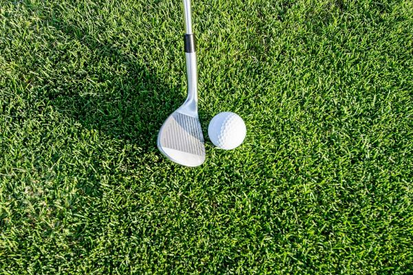 This image shows a golf club positioned next to a golf ball on a patch of green grass.