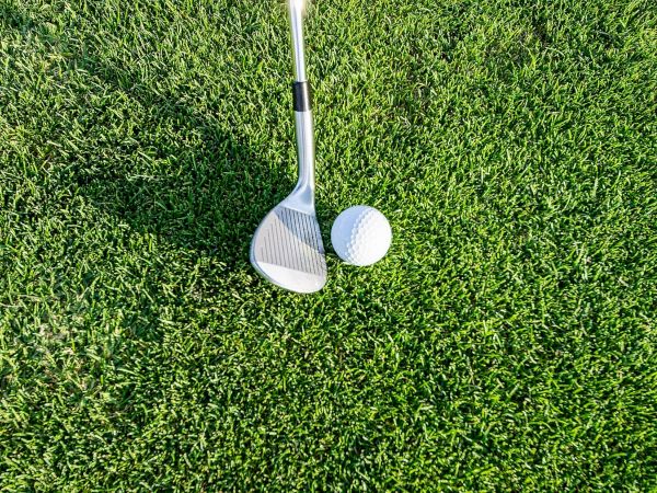 This image shows a golf club positioned next to a golf ball on a patch of green grass.