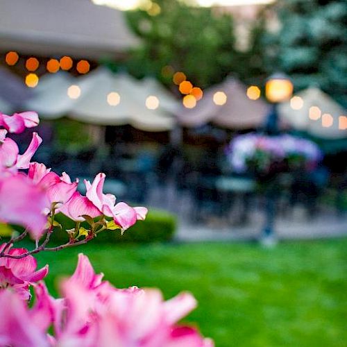 Pink flowers in the foreground with a blurred background of an outdoor seating area, decorated with string lights and shaded by trees.