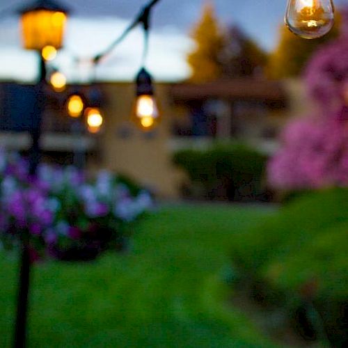 The image shows a string of outdoor lights with glowing bulbs, a blurred garden with flowers, and a lamp post, giving a peaceful evening ambiance.