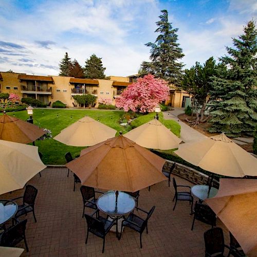 The image shows an outdoor patio with tables and beige umbrellas, surrounded by greenery, blooming trees, and a building in the background.