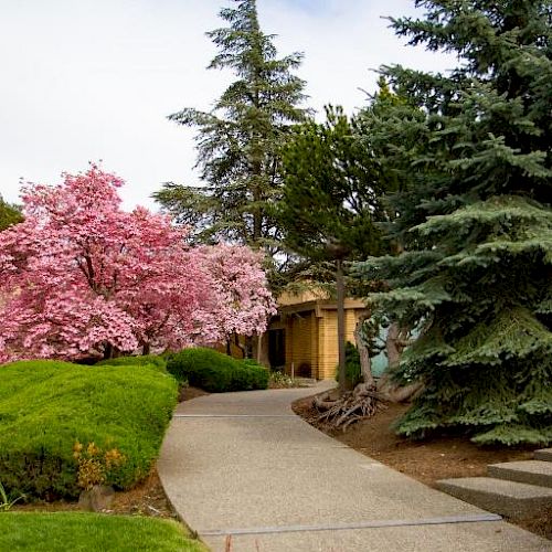 A pathway curves through a garden with colorful greenery, blooming pink trees, and a yellow house in the background, under a partly cloudy sky.